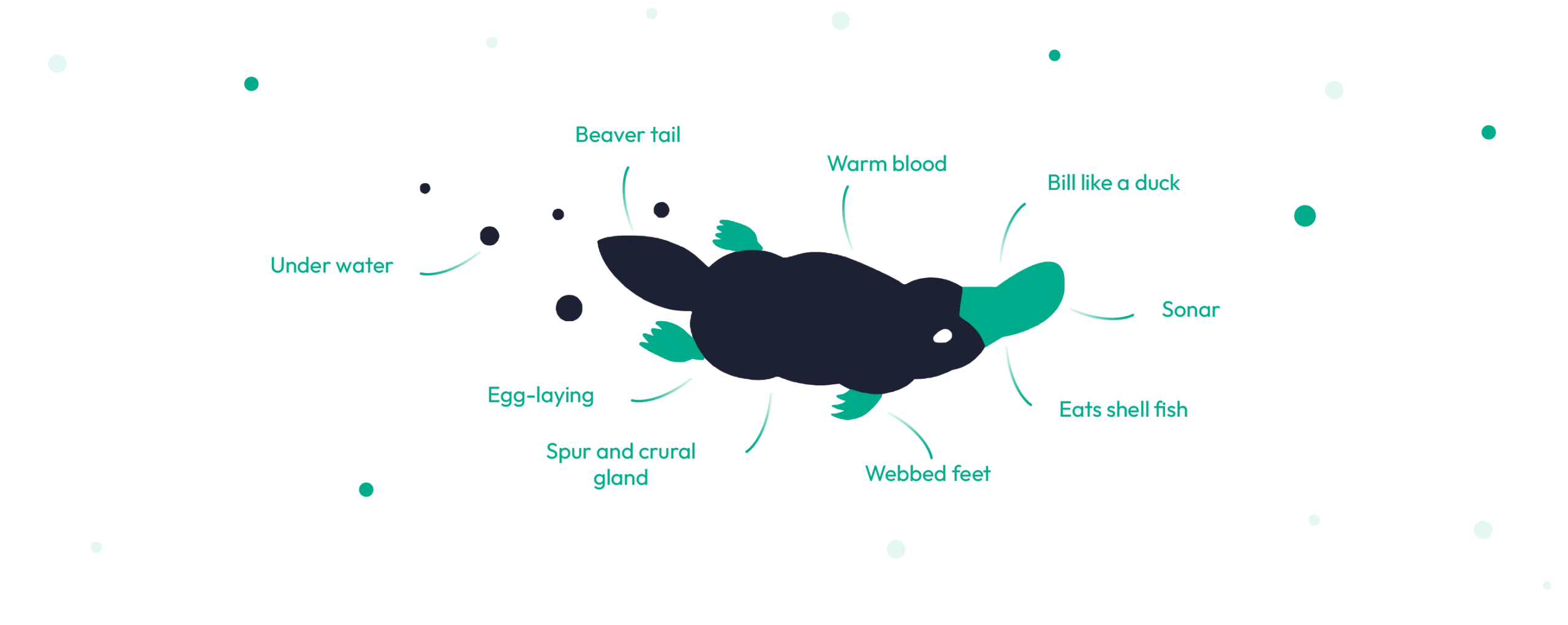 emagiz ipaas -Platypus